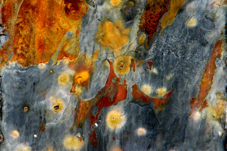 rock texture 1 photo