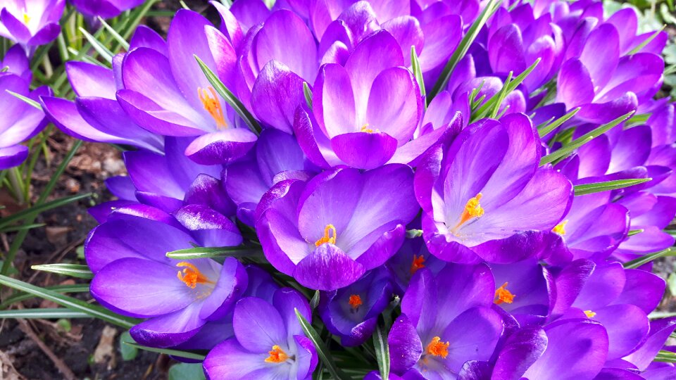 Spring is in the air