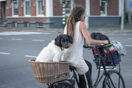 Dutch way to travel