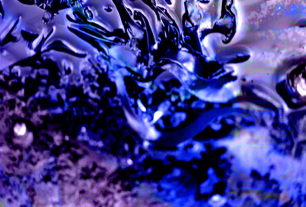 blue-purple seaweed texture photo