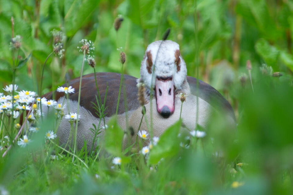 Are you looking at me?