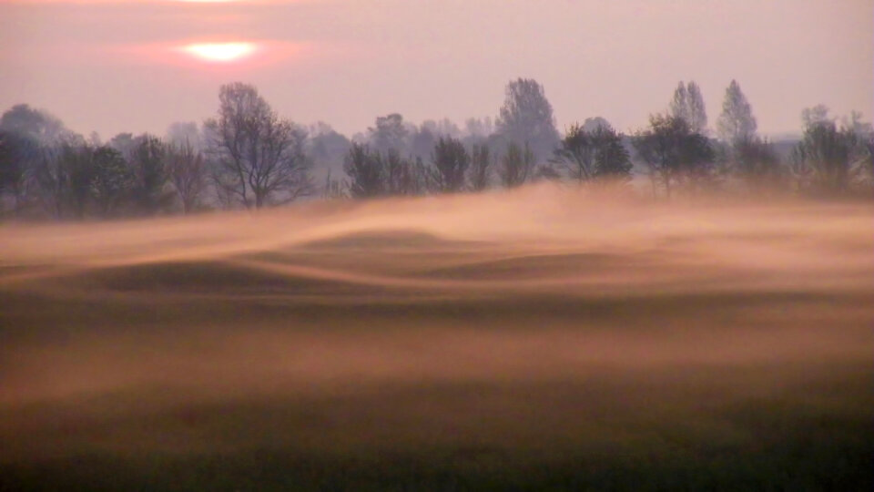 Nebel