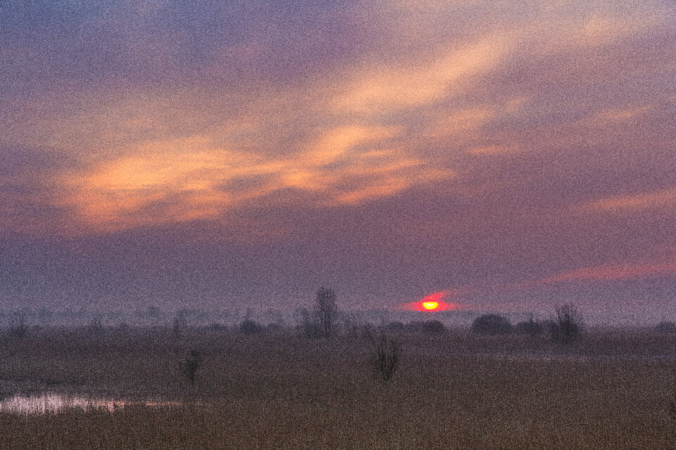 Sunrise at Lauwersmeer