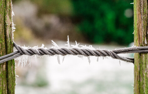 Iced wire photo