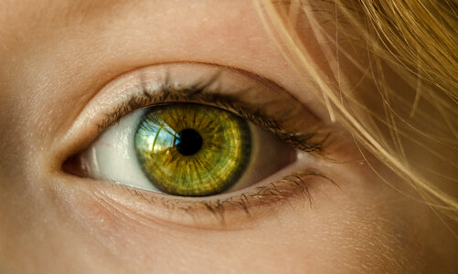 Green eye photo