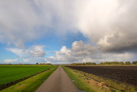 Dutch landscape photo