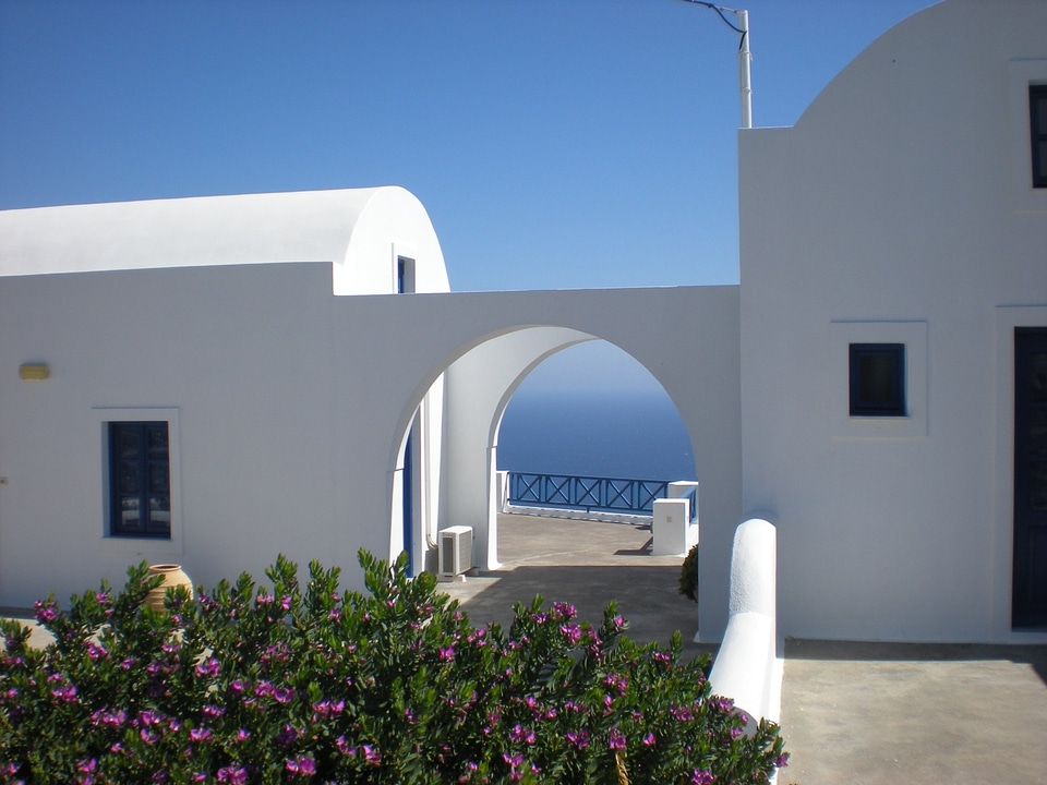 Greece marine flowers