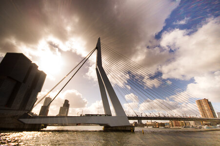Erasmus Rotterdam photo