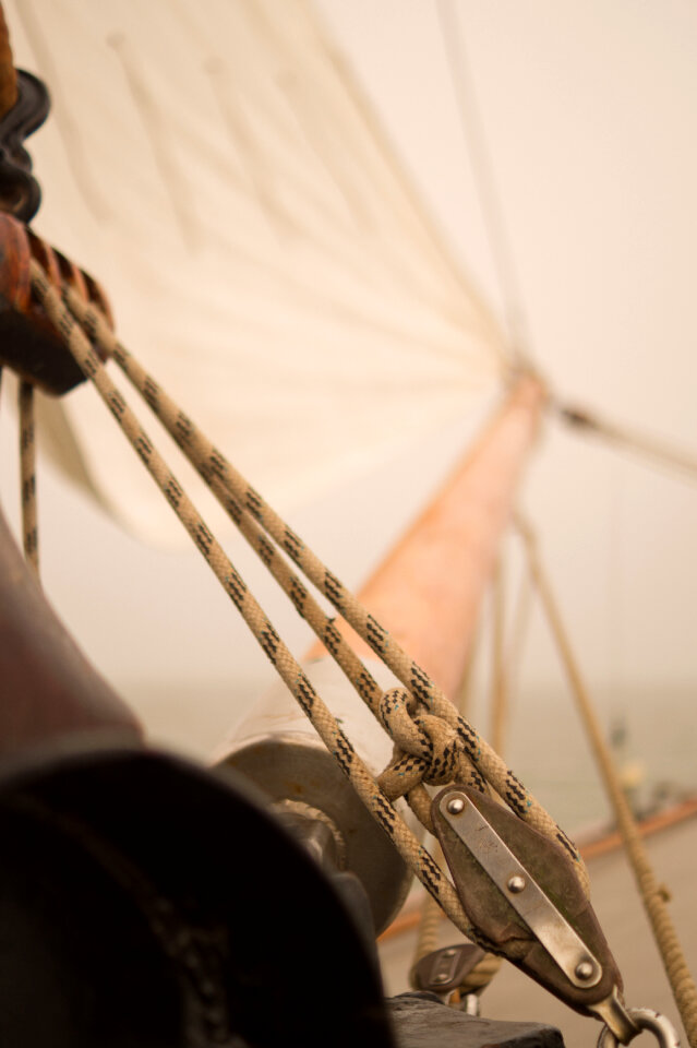 Sail away