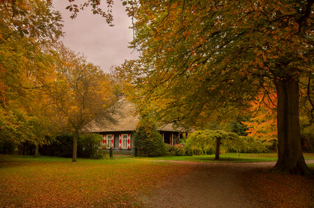Little house in the forrest photo
