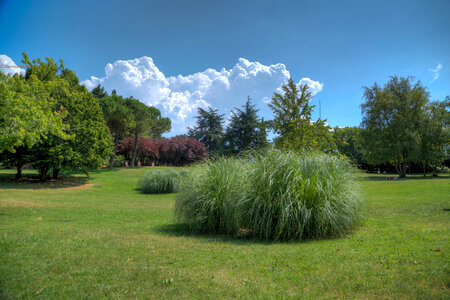 Park in Volterra photo