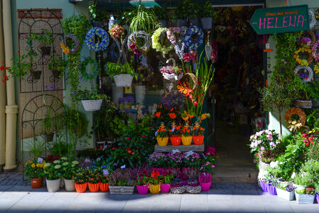 Flower shop photo