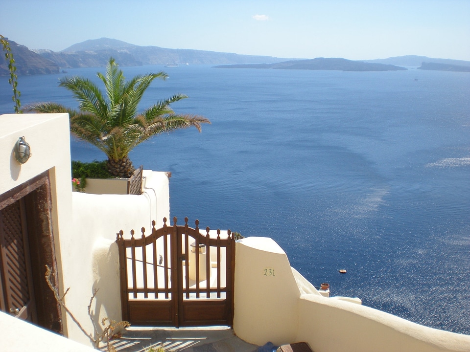 Greece marine flowers