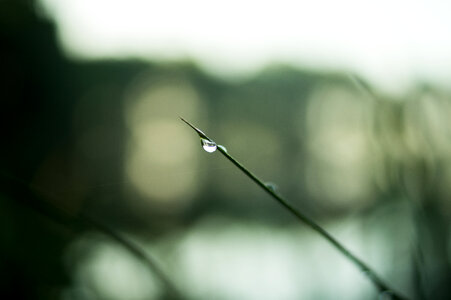 Water drop photo