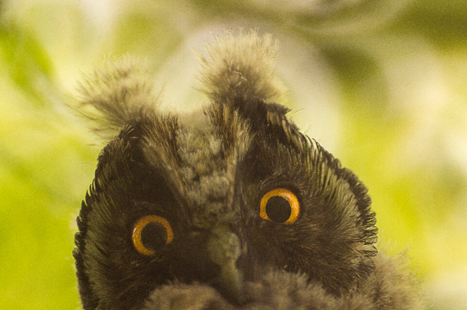 Hello!