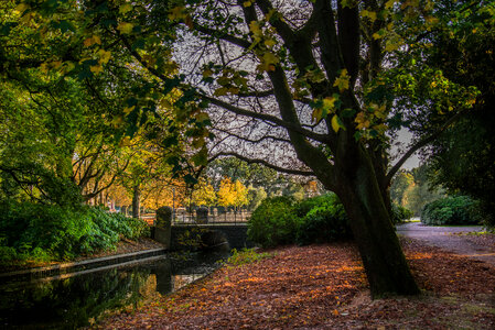 Park in autumn photo