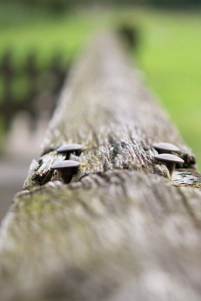 Nails macro photography photo