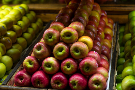 Apple, the fruit photo