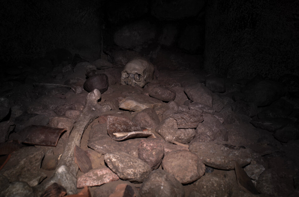 Skull