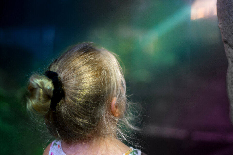 Little girl looking at the light