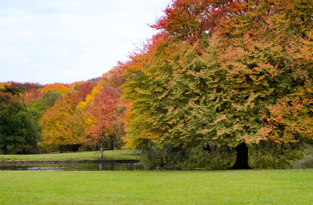 Autumn in the park