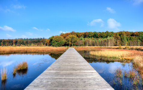 Fall in Drenthe photo