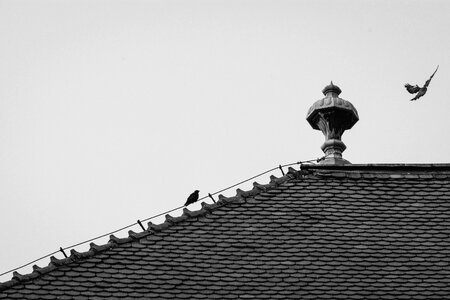 Old Roof Detail photo