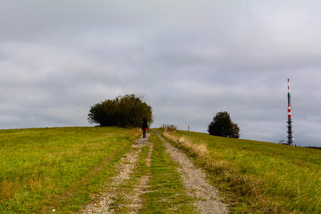 The Path in the Meadow photo