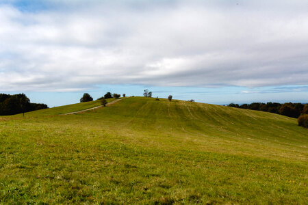 Meadow Hill