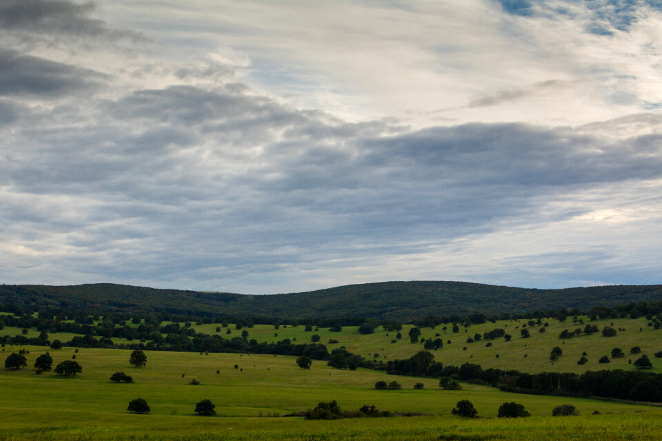 Green Meadow Landscape photo