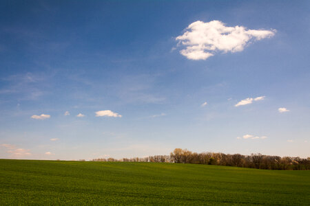 Green Hill Landscape photo