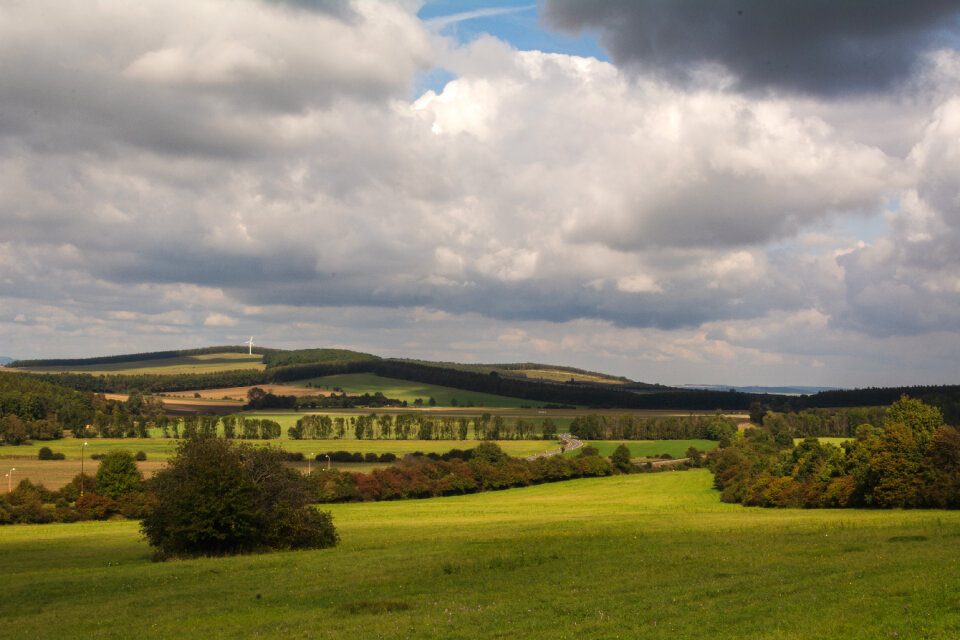 Meadowscape photo