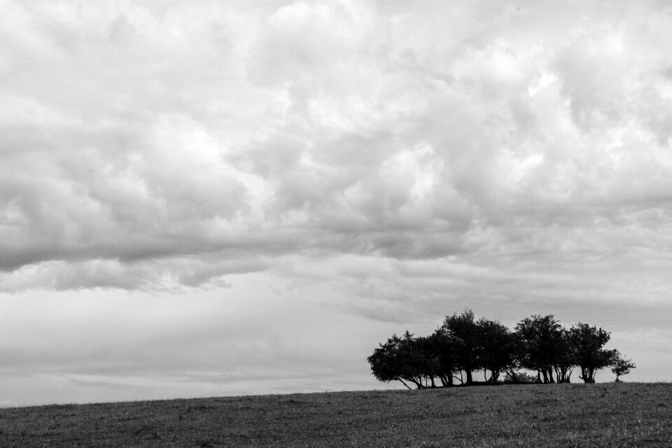 B&W Minimalist Landscape