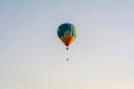 Hot Air Balloon and Bird photo