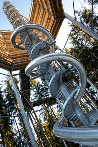 Big Slide in the Forest