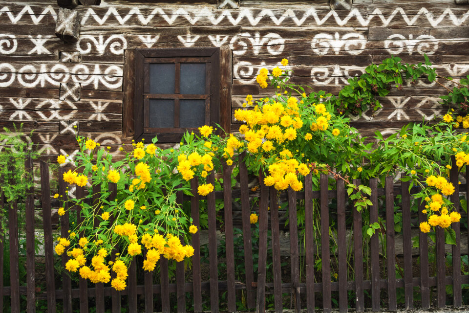 ДЊicmany Painted Village
