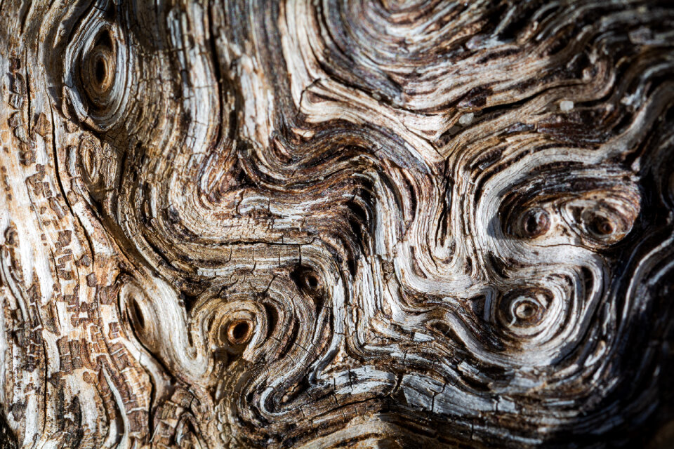 Twisted Lines on Macro Photography