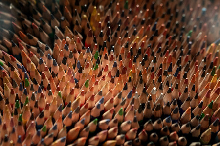 Lots of Colored Pencils
