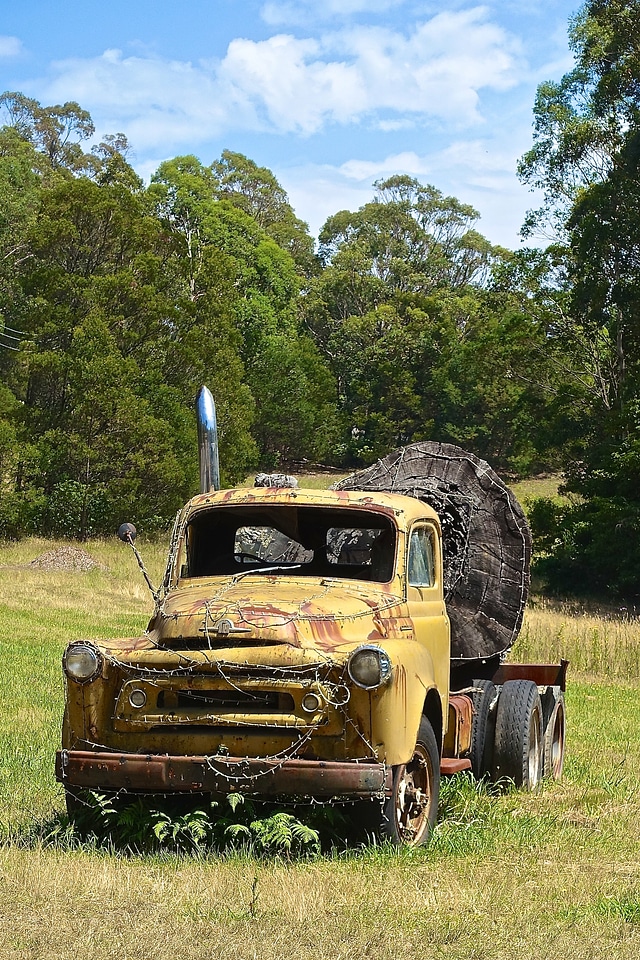 Truck log timber