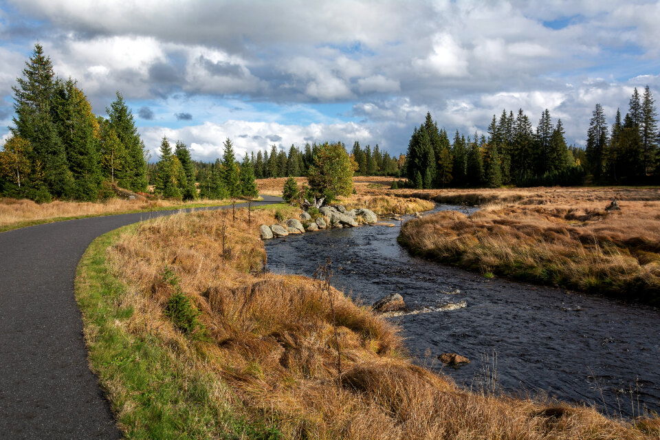 Bike Path Next to the River in the Wild
