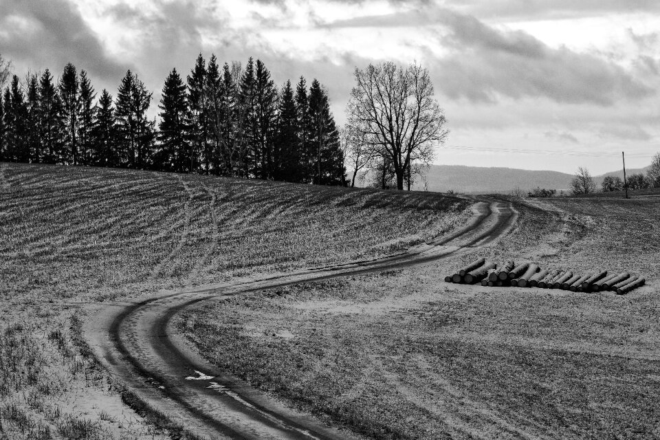 Black & White – Way in the Winter Landscape