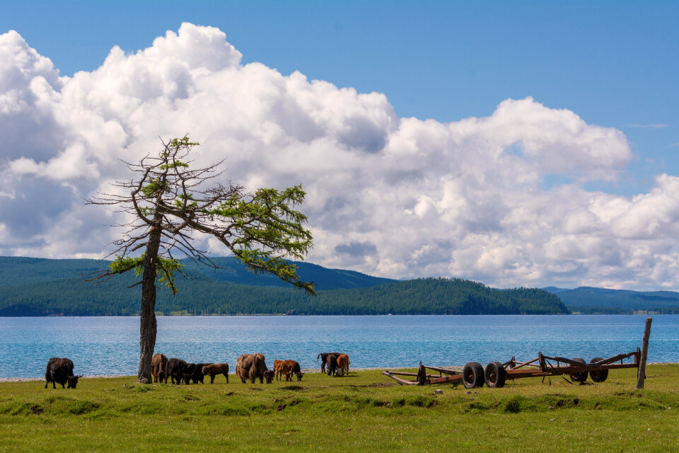 Mongolian Nature – KhГ¶vsgГ¶l Lake