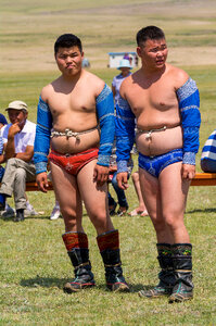 Mongolian Wrestlers photo