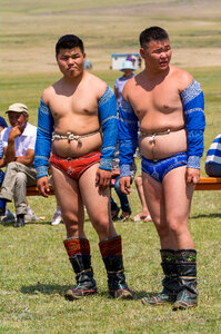 Mongolian Wrestlers