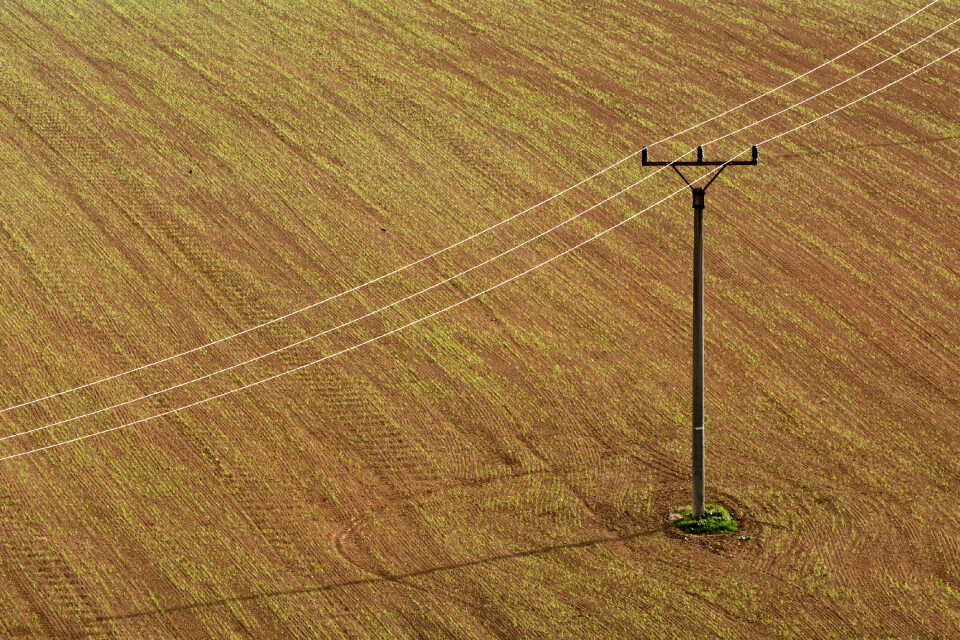 Electricity Poles on the Brown Field