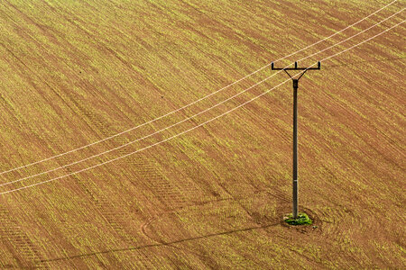 Electricity Poles on the Brown Field photo