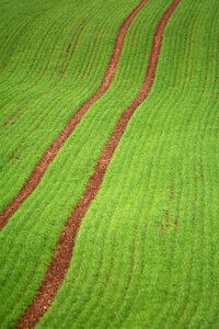 Field Minimalism photo