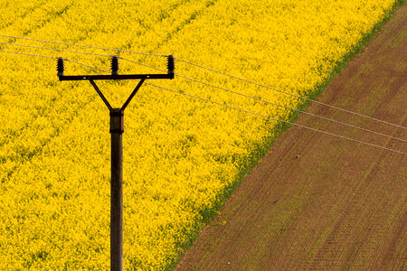 Minimalist Photo of the Field