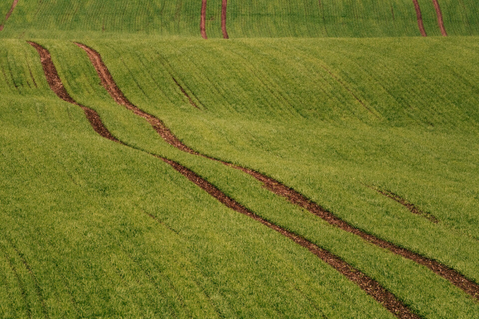 Minimalist Green Field Landscape
