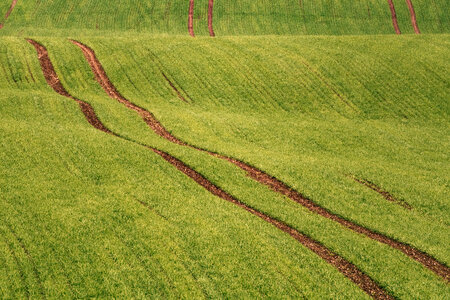 Minimalist Green Field Landscape photo